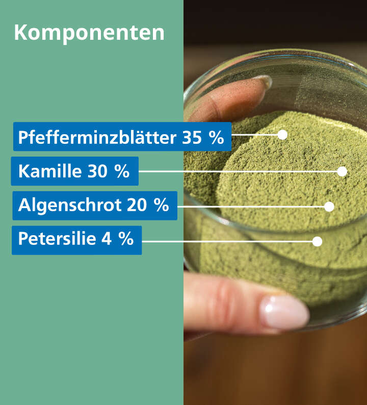 Höveler DOG ZAHN PLUS